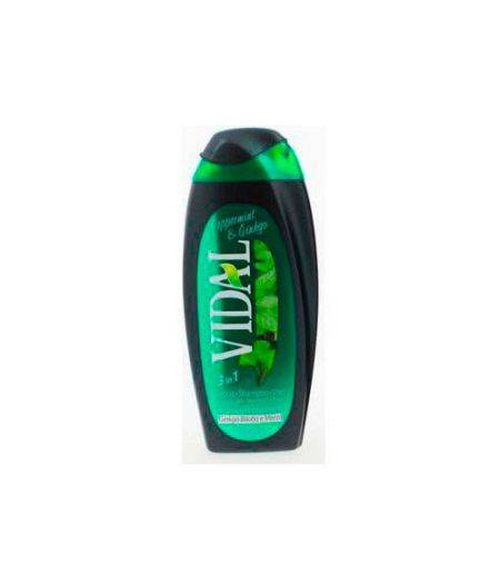 Men Peppermint &  Ginkgo 3in1 - Doccia Shampoo Viso 250 ml