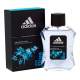 Ice dive - Eau de Toilette 100 ml